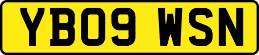 YB09WSN