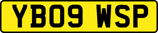 YB09WSP