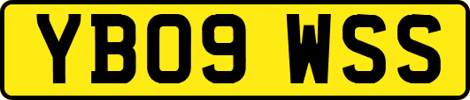 YB09WSS