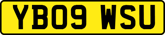 YB09WSU