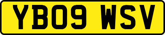 YB09WSV