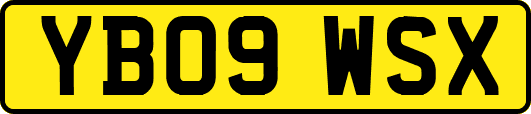 YB09WSX