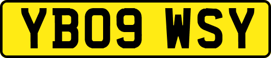YB09WSY