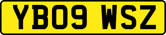 YB09WSZ