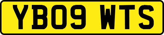 YB09WTS