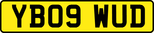 YB09WUD