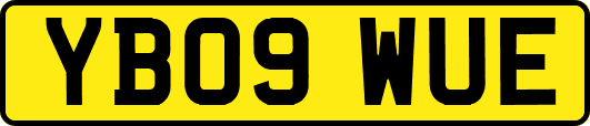 YB09WUE