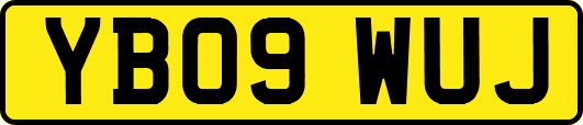 YB09WUJ