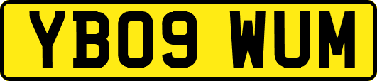 YB09WUM