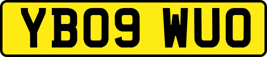 YB09WUO