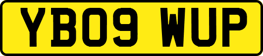 YB09WUP