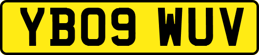 YB09WUV