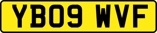 YB09WVF