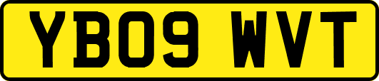 YB09WVT