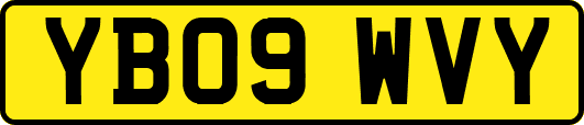 YB09WVY