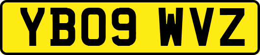 YB09WVZ