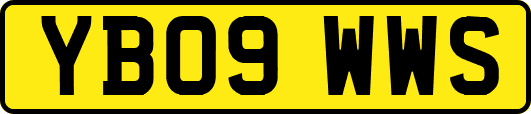 YB09WWS
