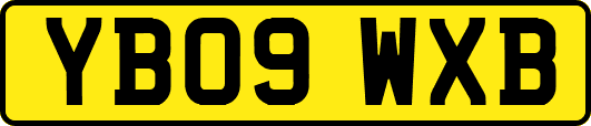 YB09WXB