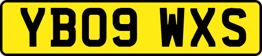 YB09WXS