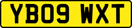 YB09WXT