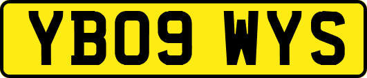 YB09WYS