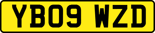 YB09WZD