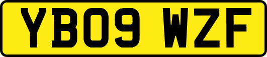 YB09WZF