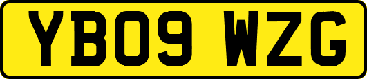 YB09WZG