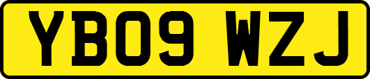 YB09WZJ
