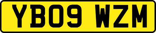 YB09WZM