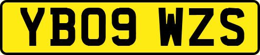 YB09WZS