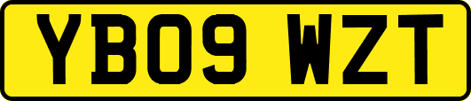 YB09WZT