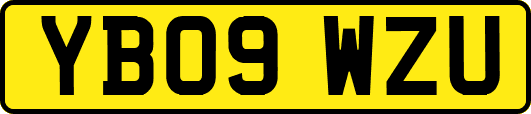YB09WZU