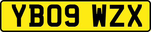 YB09WZX