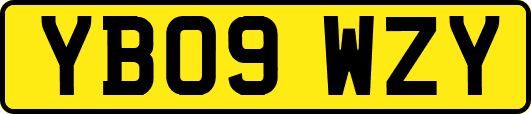 YB09WZY