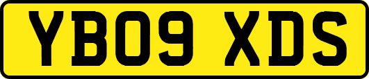 YB09XDS