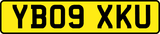 YB09XKU