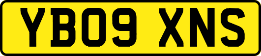 YB09XNS