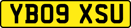 YB09XSU