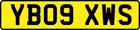 YB09XWS