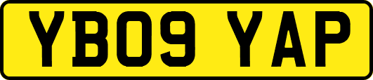 YB09YAP