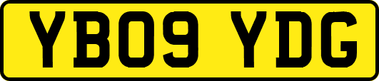 YB09YDG
