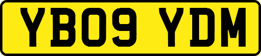 YB09YDM