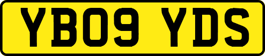 YB09YDS