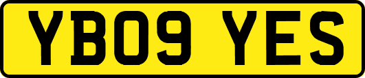 YB09YES