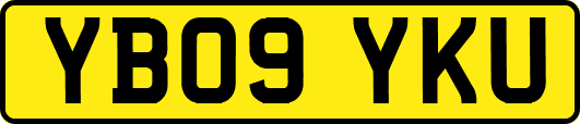 YB09YKU