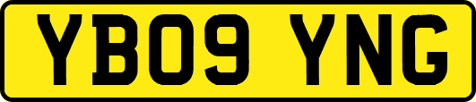 YB09YNG