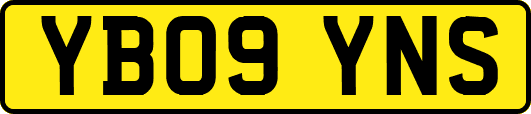 YB09YNS