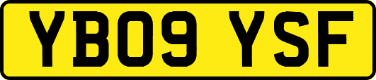 YB09YSF