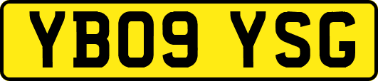 YB09YSG